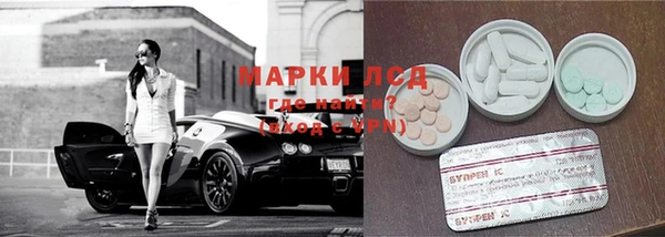 PSILOCYBIN Балахна