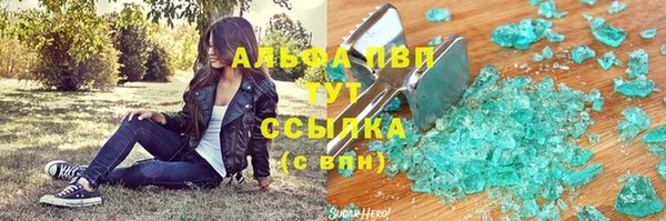 PSILOCYBIN Балахна