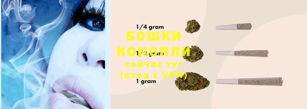 PSILOCYBIN Балахна