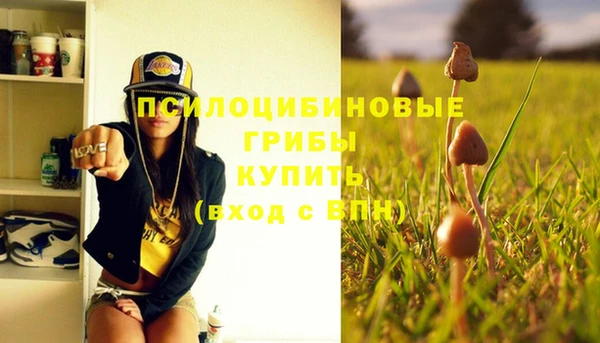 PSILOCYBIN Балахна