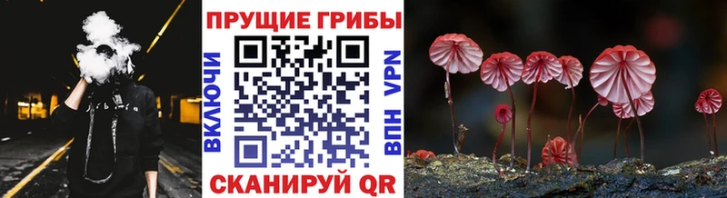 Галлюциногенные грибы мухоморы  Белозерск 